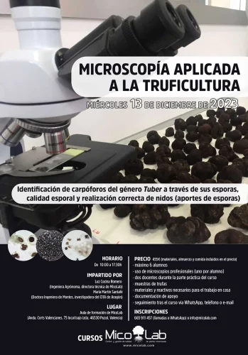 01 POSTER y CONTENIDOS microscopia ESPORAS 2024